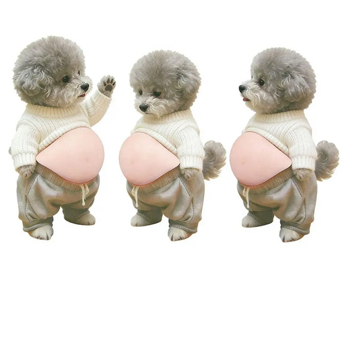 BellyBuds™